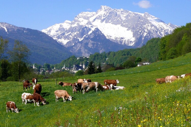Vakantiehuis in Berchtesgaden, foto 8