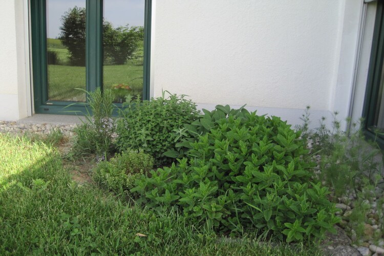 Vakantiehuis in Windorf, foto 3