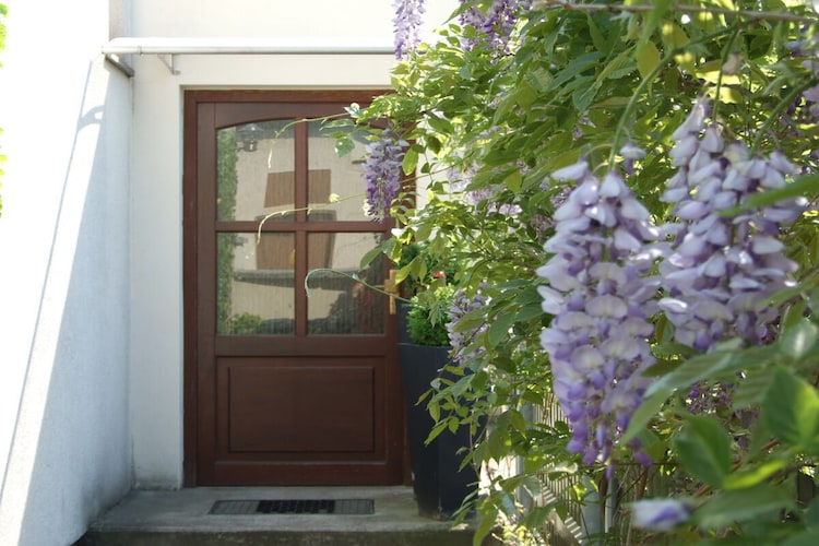 Vakantiehuis in Radebeul, foto 4