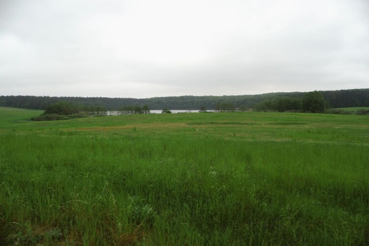 Vakantiehuis in Kargow, foto 13