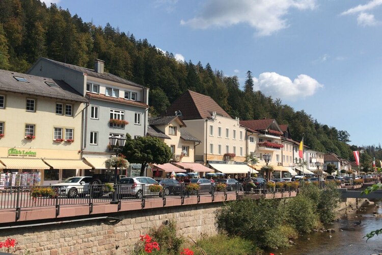 Vakantiehuis in Sankt Blasien, foto 9