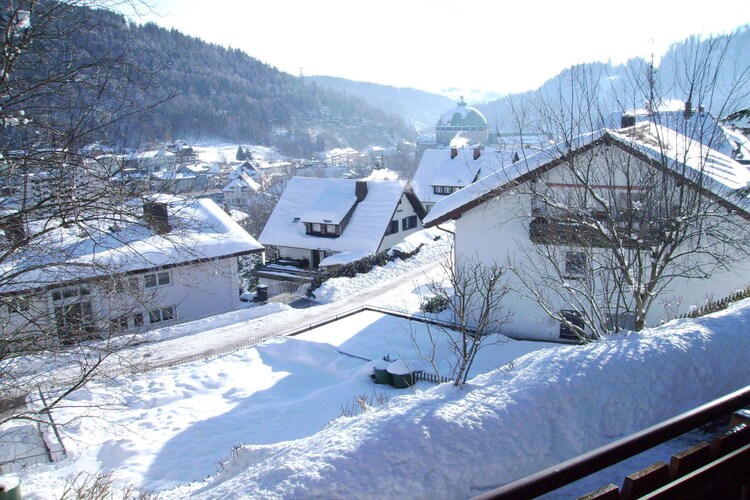 Vakantiehuis in St. Blasien, foto 13