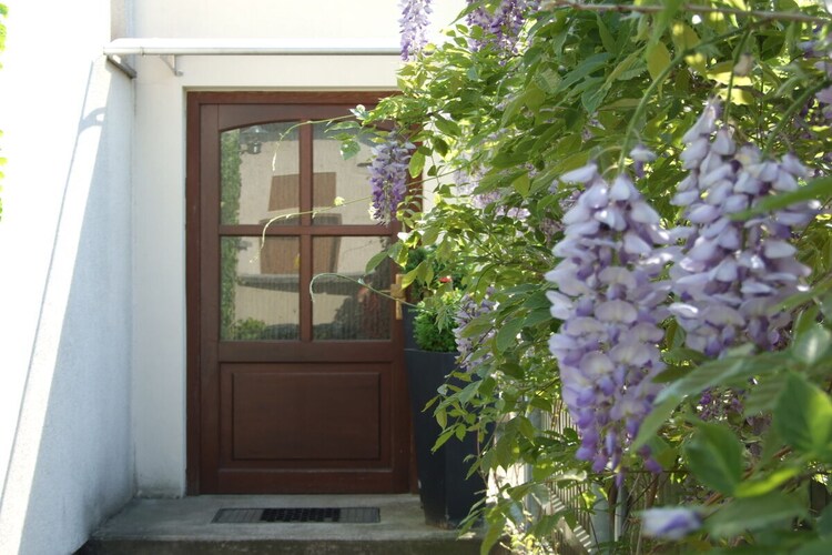 Vakantiehuis in Radebeul, foto 5