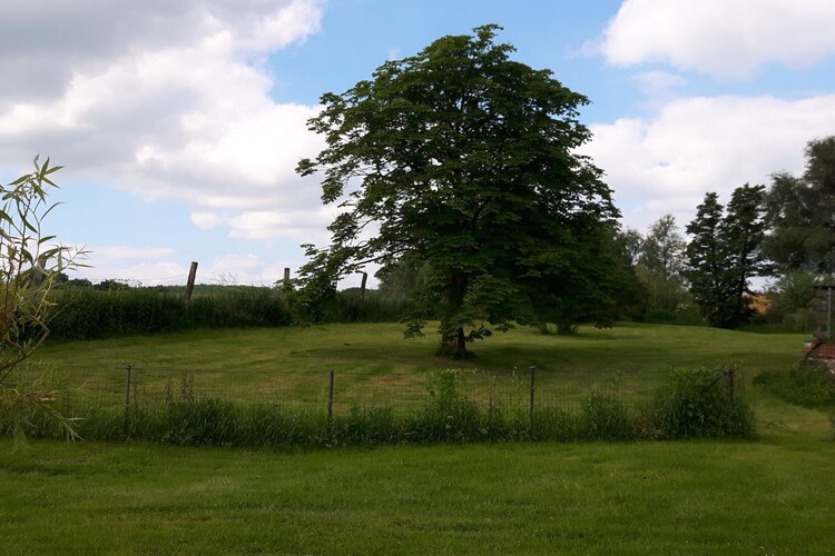 Vakantiehuis in Hinrichshagen, foto 15
