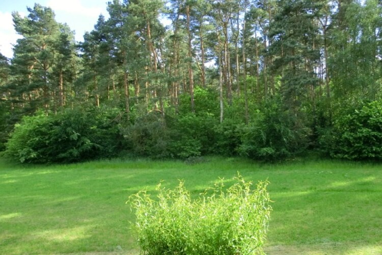 Vakantiehuis in Waren (Müritz), foto 6