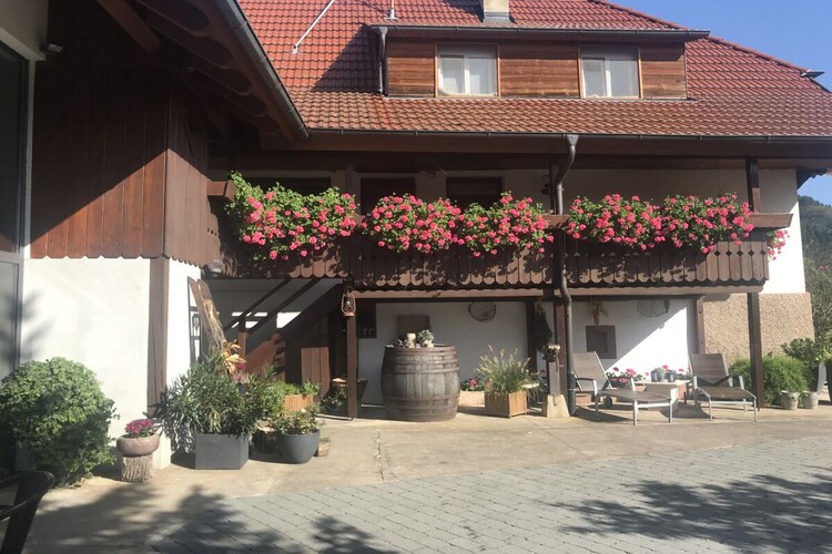 Vakantiehuis in Biberach, foto 5