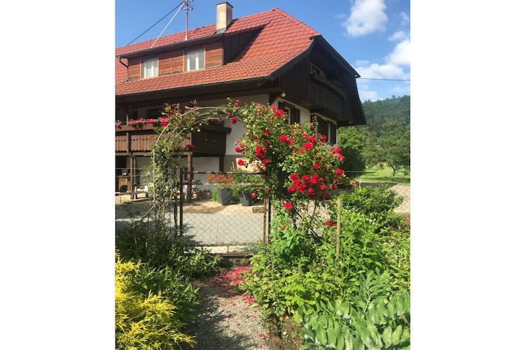 Vakantiehuis in Biberach, foto 6