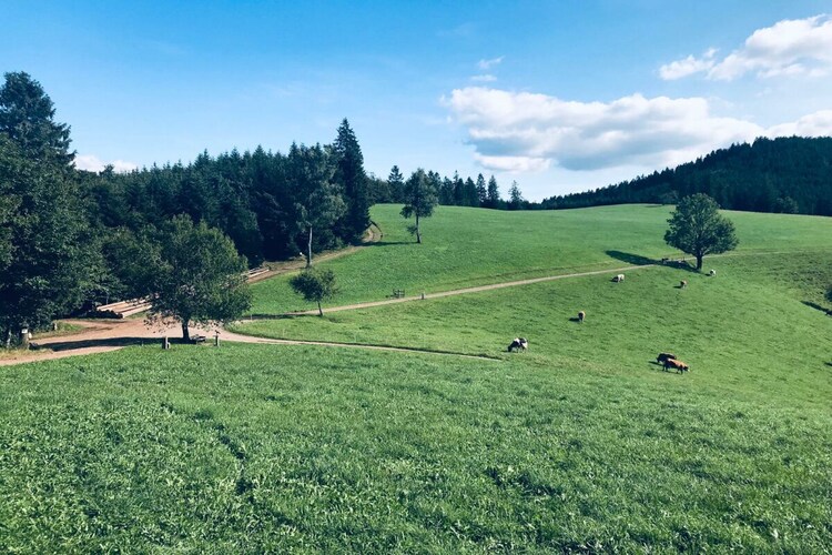 Vakantiehuis in Biberach, foto 11