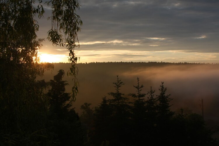 Vakantiehuis in Dornhan-Fürnsal, foto 5