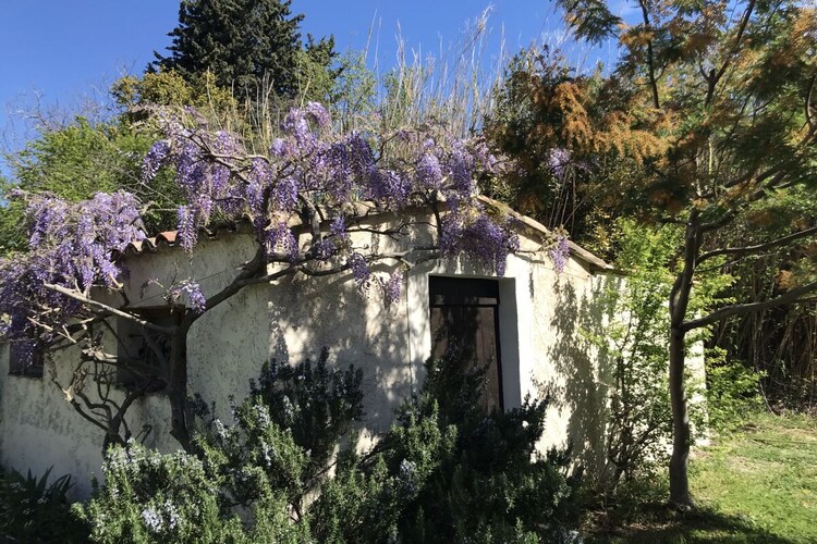 Vakantiehuis in Sénas, foto 14