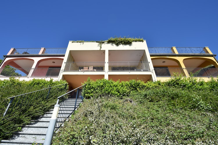 Vigneto E 24, foto 3