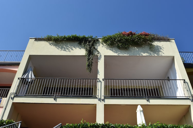Vigneto E 24, foto 12
