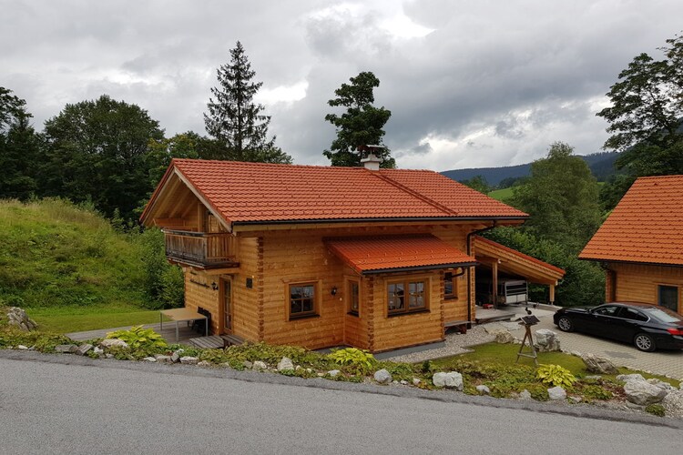 Vakantiehuis in Annaberg im Lammertal, foto 5