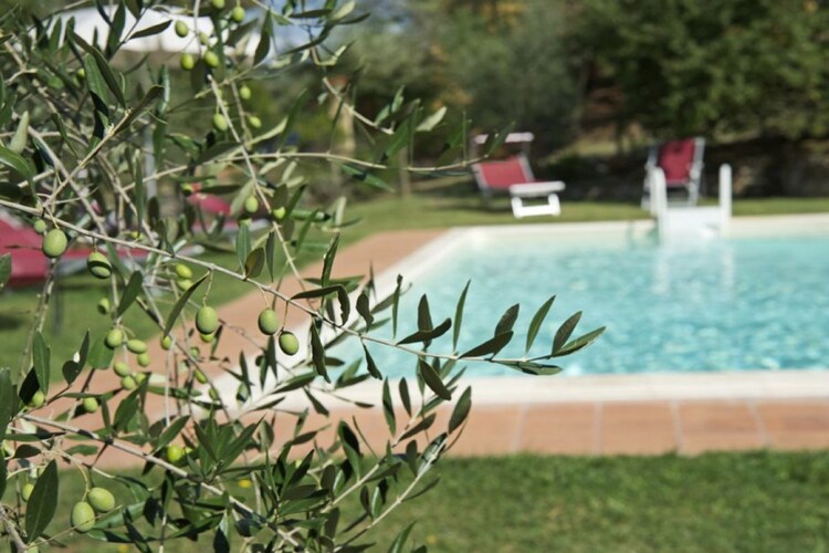 Vakantiehuis in Lucignano AR, foto 8