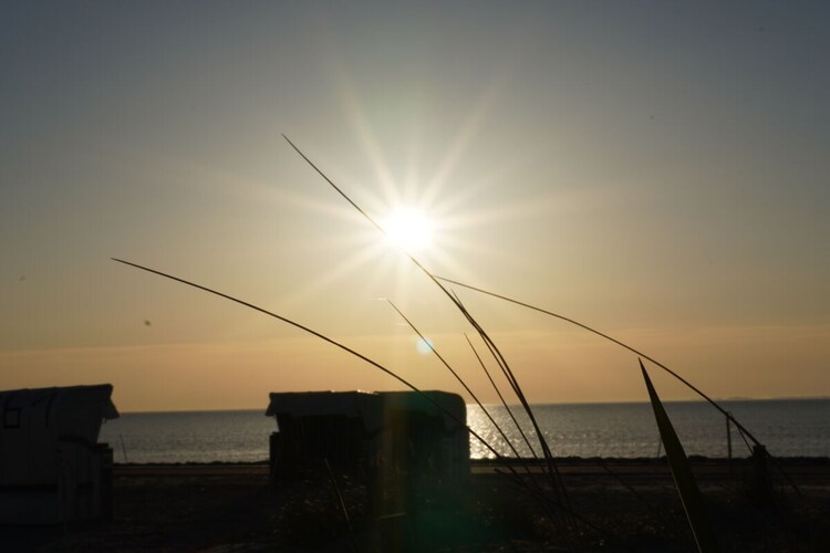 Vakantiehuis in Norddeich, foto 14