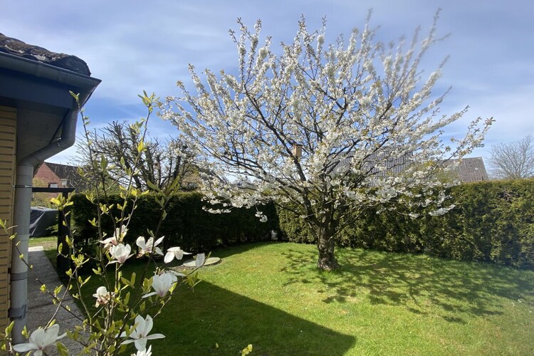 Vakantiehuis in Tönning, foto 5