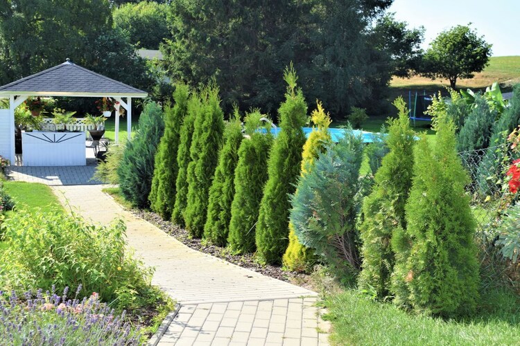 Vakantiehuis in Benz OT Neppermin, foto 3