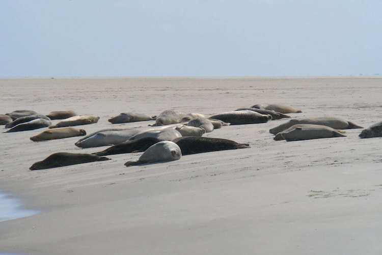 Vakantiehuis in Borkum, foto 15