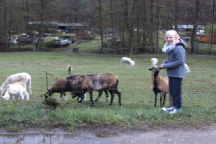 Vakantiehuis in Ganzlin Ot Twietfort, foto 13