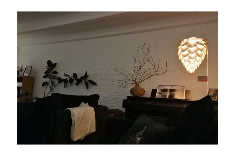 Vakantiehuis in Wiesmoor, foto 14