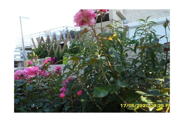 Vakantiehuis in Saint Pierre la mer, foto 3