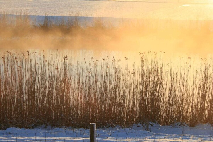 Vakantiehuis in Nortmoor, foto 4