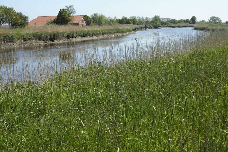 Vakantiehuis in Nortmoor, foto 7