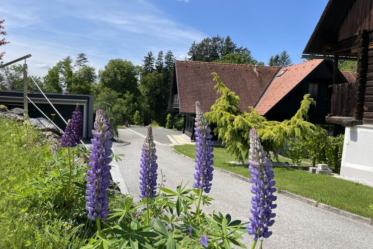 Vakantiehuis in Stainz, foto 7