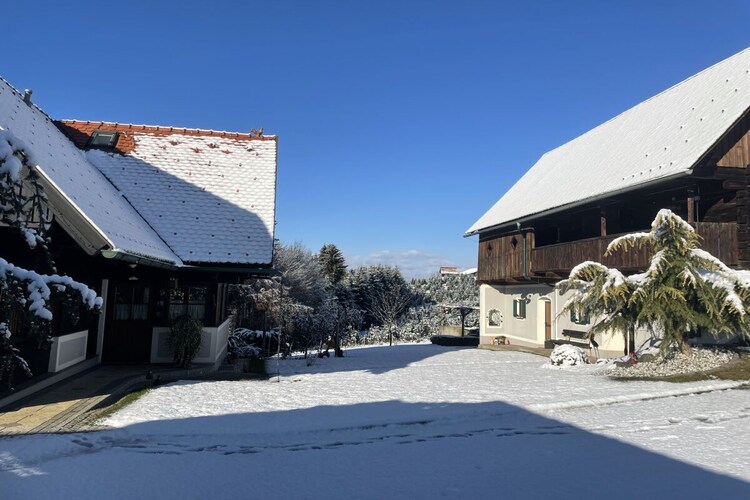Vakantiehuis in Stainz, foto 8
