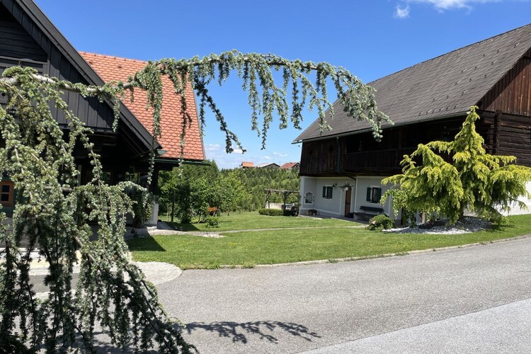 Vakantiehuis in Stainz, foto 10