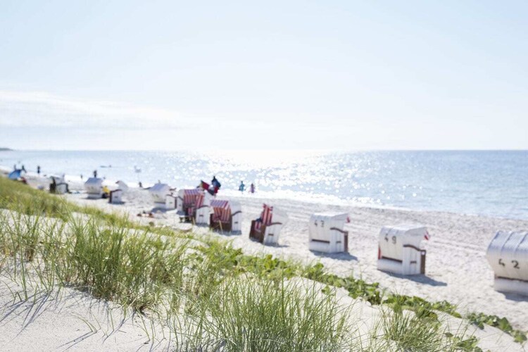Vakantiehuis in Dierhagen, foto 12