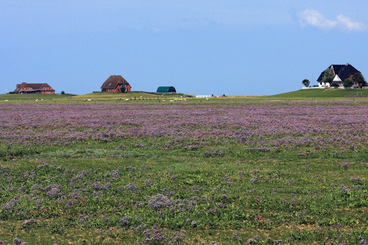 Vakantiehuis in Nordstrand, foto 10