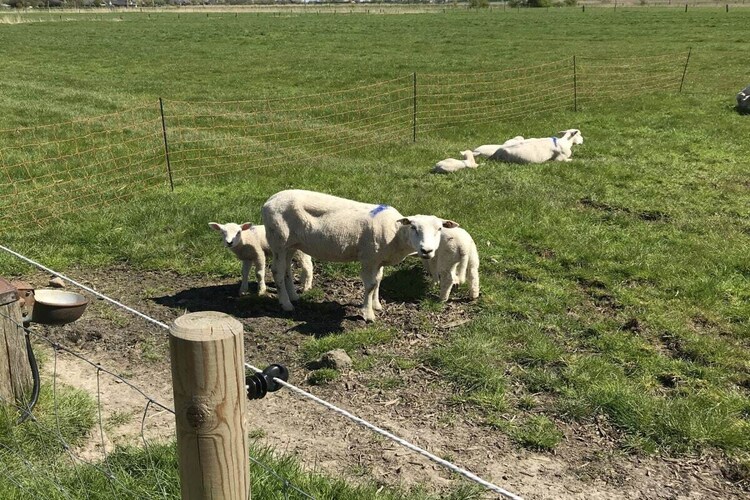Vakantiehuis in Nordstrand, foto 7