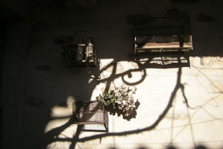 Vakantiehuis in Camplong d'Aude, foto 6