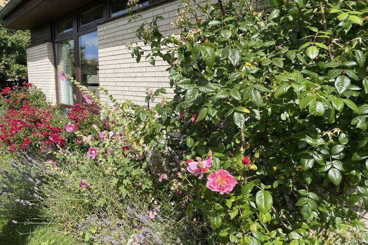Vakantiehuis in Neukirchen/Quern, foto 14