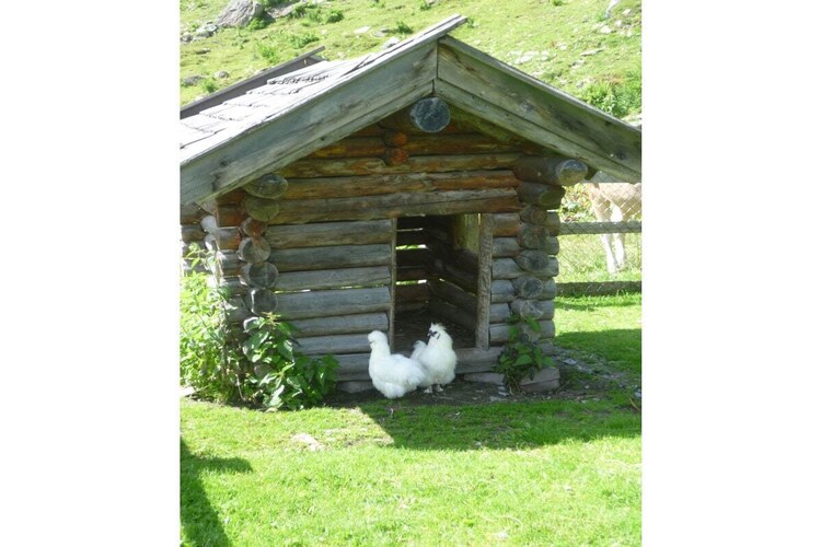 Vakantiehuis in Krimml, foto 8