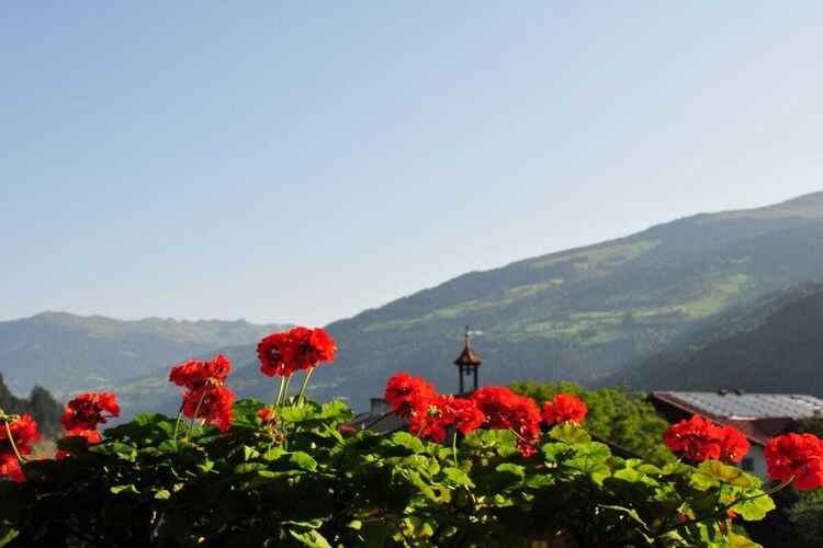 Vakantiehuis in Zell Ziller, foto 4
