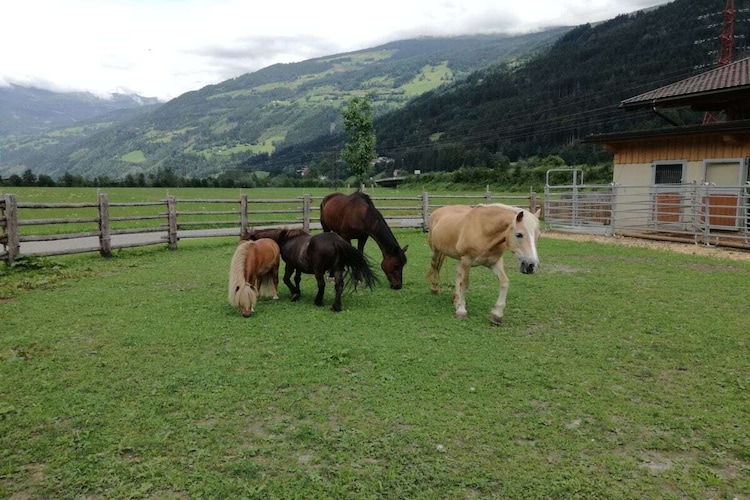 Vakantiehuis in Zell Ziller, foto 7