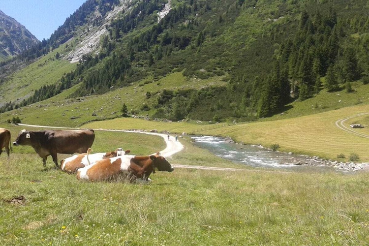 Vakantiehuis in Zell Ziller, foto 8