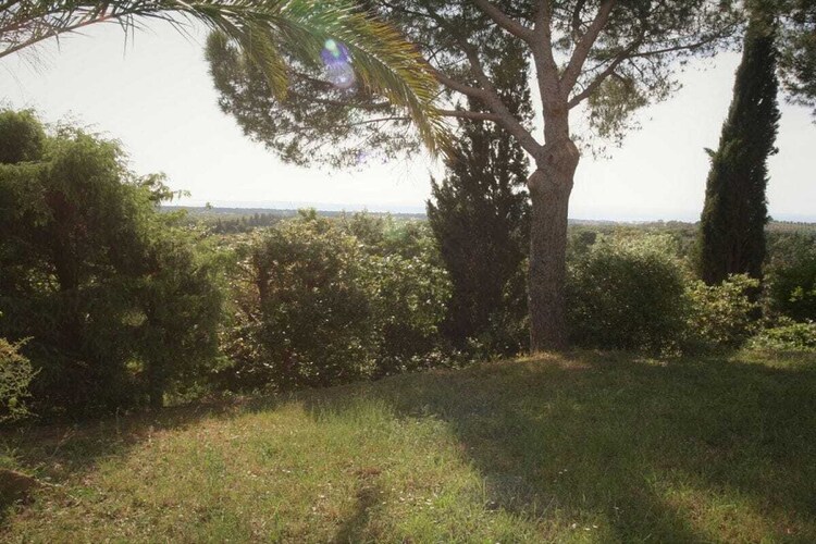 Vakantiehuis in Campiglia Marittima, foto 8