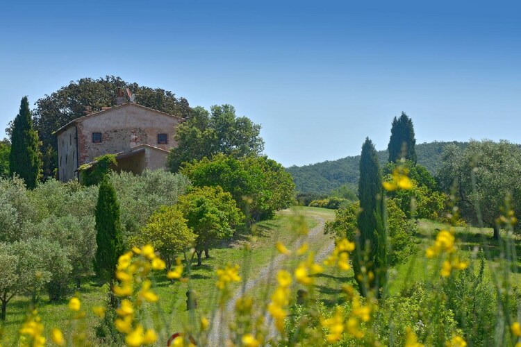 Vakantiehuis in Montecatini Val di Cecina, foto 3