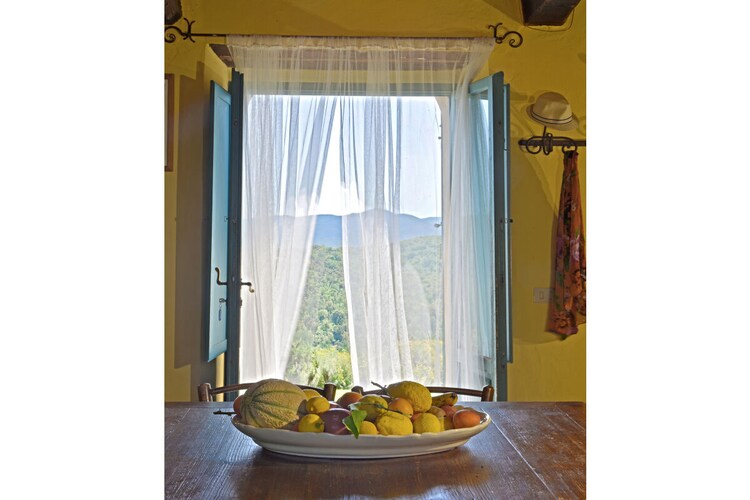 Vakantiehuis in Montecatini Val di Cecina, foto 7