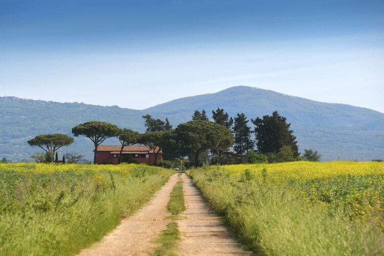 Vakantiehuis in Roccastrada, foto 10