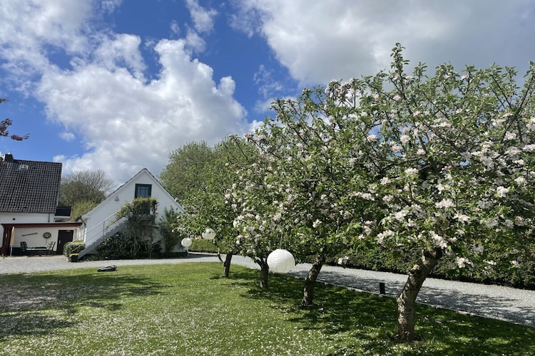 Vakantiehuis in Brodersby, foto 3