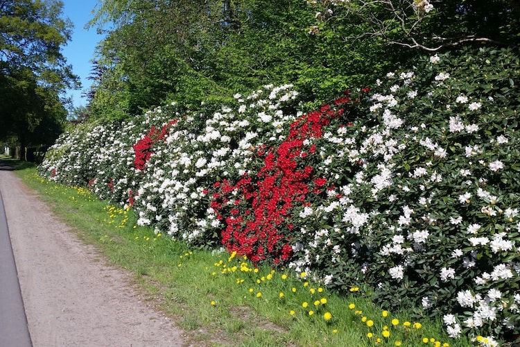Vakantiehuis in Westerstede, foto 6