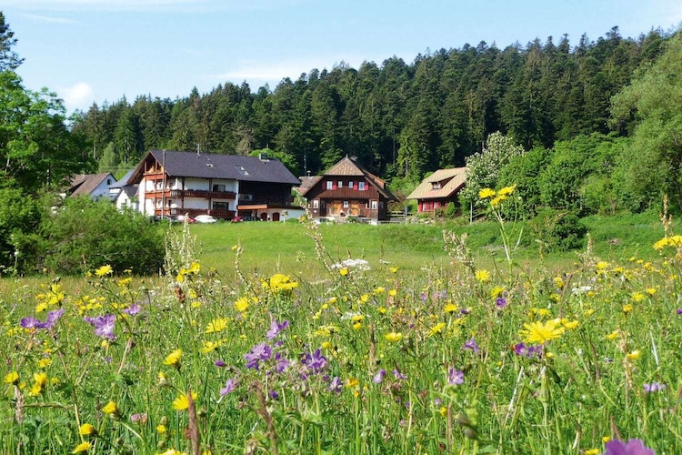 Vakantiehuis in Freudenstadt, foto 2