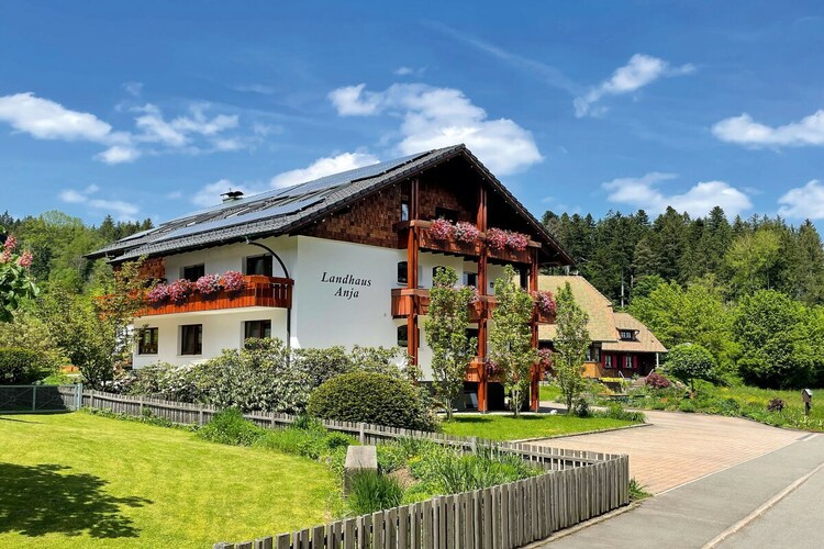 Vakantiehuis in Freudenstadt, foto 3