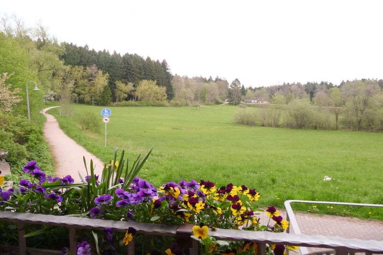 Vakantiehuis in Freudenstadt, foto 7