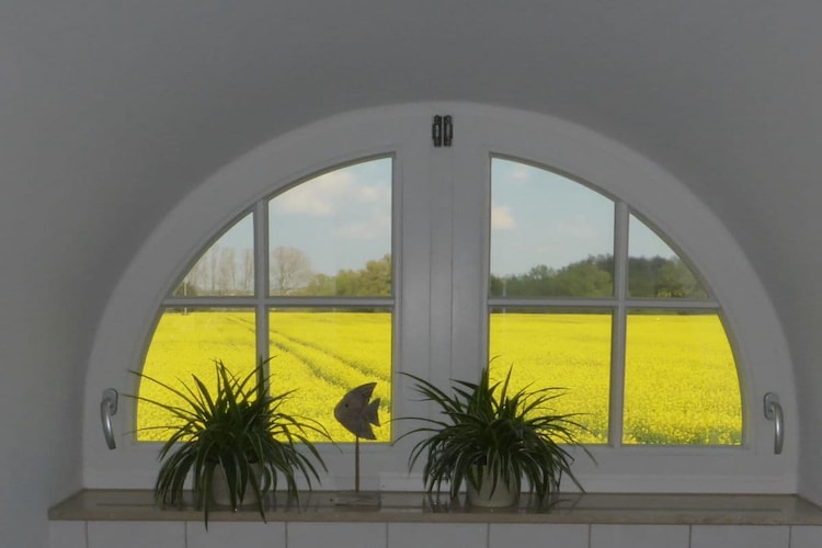Vakantiehuis in Am Salzhaff, foto 5