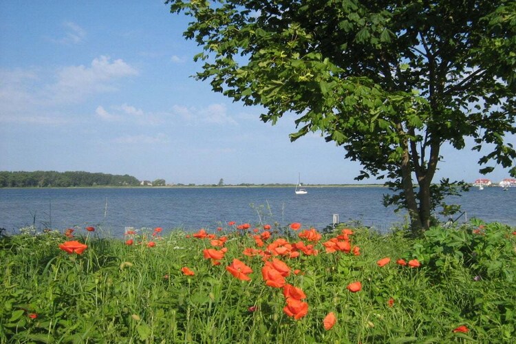 Vakantiehuis in Am Salzhaff, foto 7